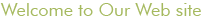 Welcome To Our Web Site